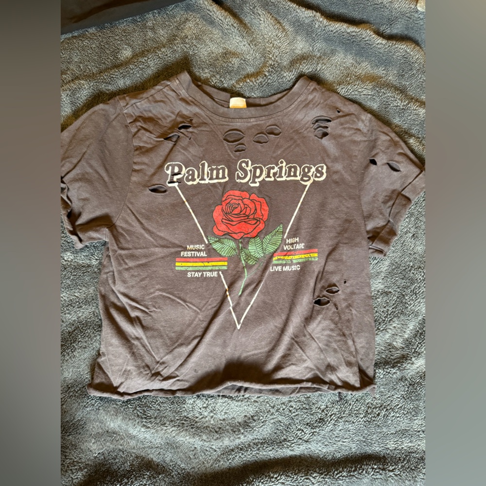 Palm Springs rugged cropped tshirt
